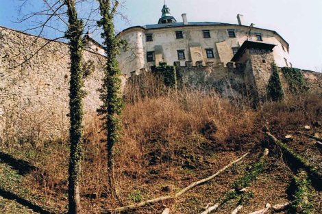 Frydlant v Cechach Friedland_Burg und Schloss
