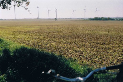 Ausblick Felder Landwirtschaft Sachsen