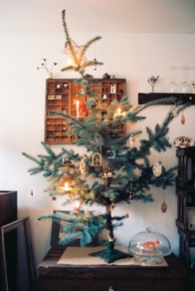weihnachtsbaum-2015